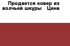 Продается ковер из волчьей шкуры › Цена ­ 50 000 - Все города Одежда, обувь и аксессуары » Мужская одежда и обувь   . Адыгея респ.,Майкоп г.